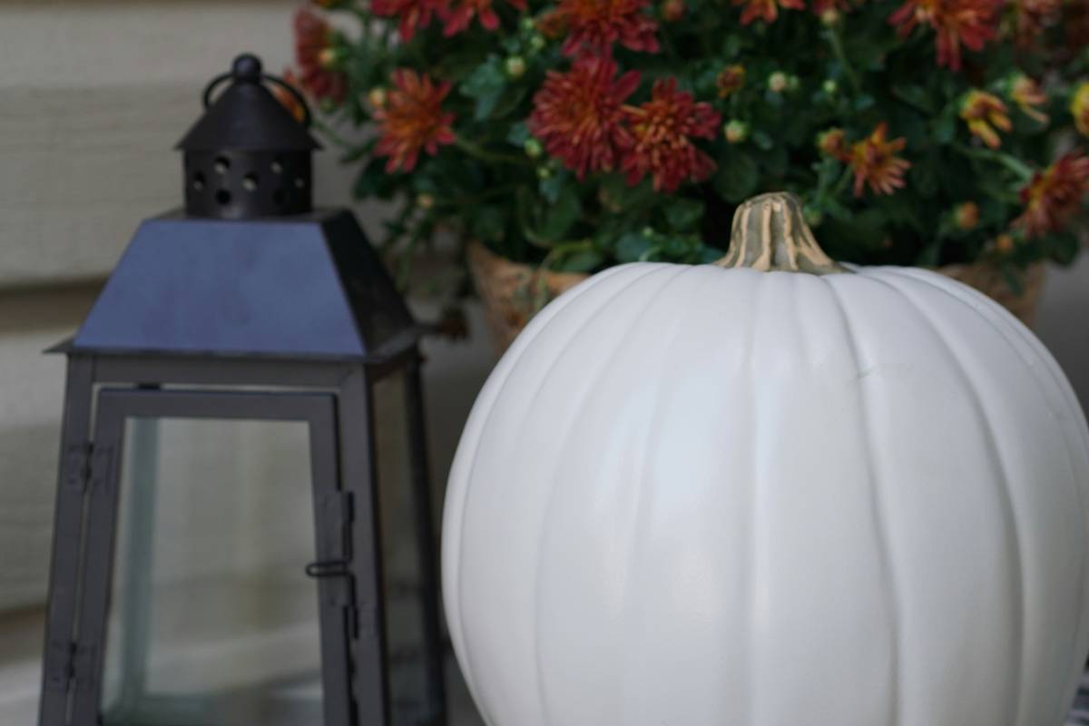 Seasonal Home Decor Track Lighting: 7 Proven Ways to Avoid Costly Lighting Mistakes